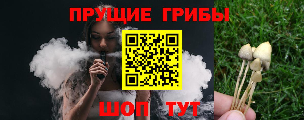 Псилоцибиновые грибы MAGIC MUSHROOMS  Вход с VPN  Медногорск 